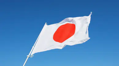 Japonya'da sıcak hava etkisi : 3 aslan telef oldu
