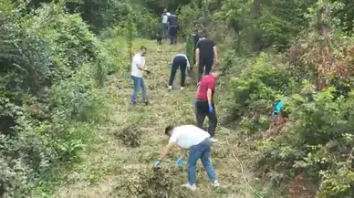 Hakkari ve Samsun merkezli operasyonlarda 265 kilo uyuşturucu ele geçirildi