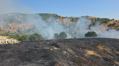 Bingöl'de kırsal alanda yangın