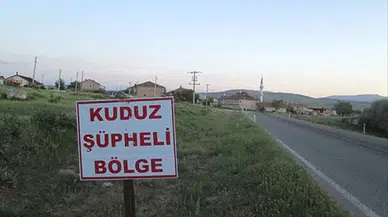 Ardahan'da alarm ! Büyükbaş hayvanda kuduz tespit edildi, bölge karantinaya alındı