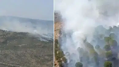 Balıkesir Altıeylül'de orman yangını