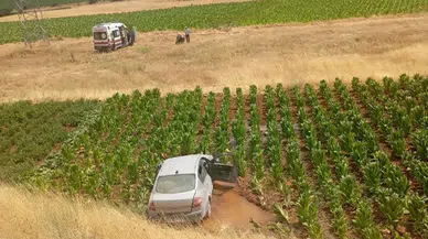 Malatya'da otomobil 20 metrelik çukura uçup tütün tarlasına savruldu : 3 yaralı