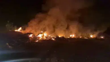 Hatay Arsuz'da otluk ve çöplük alanda yangın