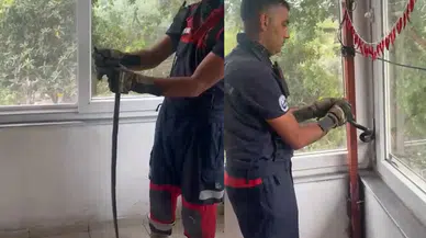 Hatay Dörtyol'da evde yılan paniği