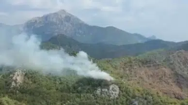 Antalya Kemer'de orman yangını