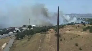 Büyükçekmece'de otluk ve ormanlık alanda yangın