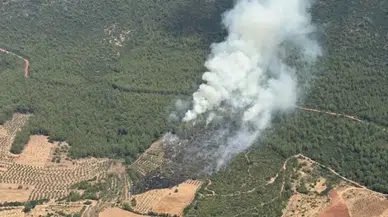 Muğla Kavaklıdere'de orman yangını