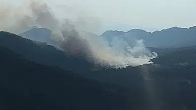 Bolu Valiliği'nden orman yangını uyarısı