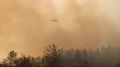 Aydın Çine'deki orman yangını soruşturmasında karar : 1 kişi tutuklandı