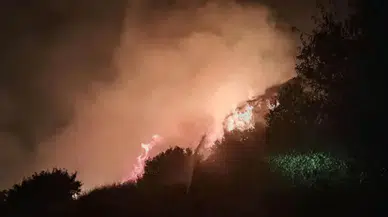 Antalya Serik’te otluk yangını