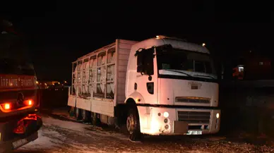 Sakarya'da kimyasal alarmı