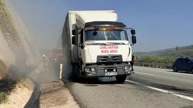 Gemlik'te korkutan yangın : Hayvan nakil aracı alevlere teslim oldu