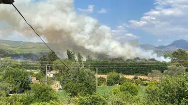 Muğla Seydikemer'de orman yangını : Havadan ve karadan müdahale ediliyor