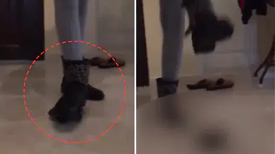O görüntüler sosyal medyayı ayağa kaldırdı ! Kaplumbağaya işkence eden kadına tepki yağdı