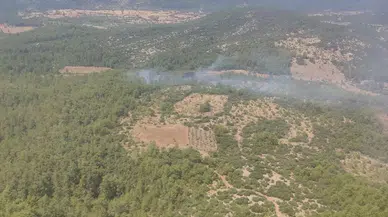 Menteşe'de çıkan orman yangını kontrol altında