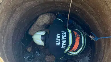 Hatay'da kuyuya düşen koyunları itfaiye kurtardı