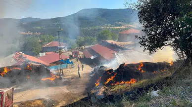 Kastamonu'da samanlık yangını : 14 büyükbaş hayvan telef oldu