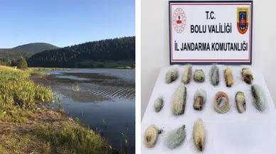 Bolu'da gölette kaçak avcılık denetimi : 22,5 metre ağ ele geçirildi