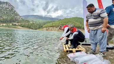 Mersin'de 347 bin yavru sazan suyla buluştu : 9 ilçede balıklandırma çalışması