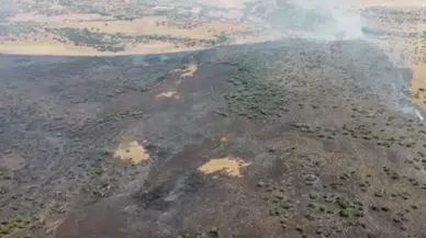 Elazığ'da ormana sıçrayan yangın 4 saatlik müdahaleyle söndürüldü