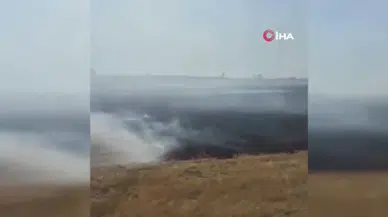 Yozgat Saraykent'te 150 dönüm arazi alev alev yandı