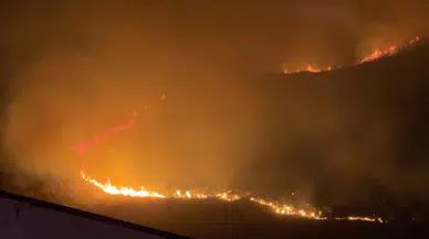 Aydın'da otluk alanda korkutan yangın