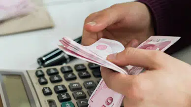 Tamamlayıcı Emeklilik Sistemi (TES) yeni OVP'de yer almadı : İkinci emeklilik rafa kaldırıldı