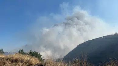 Bilecik’te çöplükte çıkan yangın ormana sıçradı