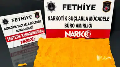 Muğla'da narkotik operasyonları : 310 gözaltı, 48 tutuklama