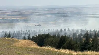 Ankara Gölbaşı'nda ormanlık alanda yangın