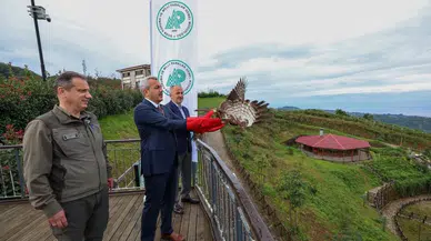 Rize'de tedavileri tamamlanan arı şahinleri Isırlık Tabiat Parkı'ndan doğaya salındı