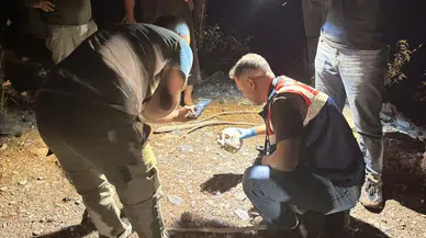 Ormanlık alanda tüyler ürperten keşif