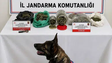 Kayseri'de uyuşturucu operasyonu : 1 tutuklu