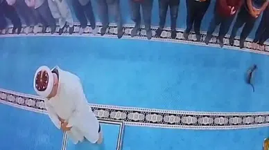 Erzurum'da camide kediyi tekmeleyen şahıs gözaltına alındı
