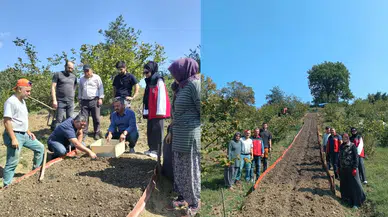 Bartın Kumluca'da salep dikimi gerçekleştirildi