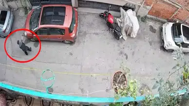 Bursa'da kucağındaki kediye şiddet uygulayan şahıs yakalandı