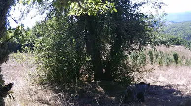 Ormanda gülümseten anlar