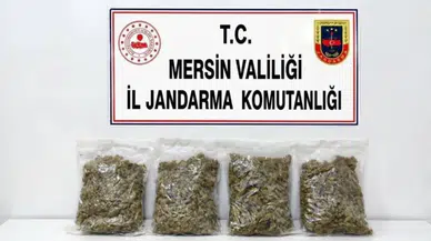 Mersin’de uyuşturucu operasyonu : 2 kilo 100 gram esrar ele geçirildi