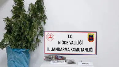 Niğde'de 278 gram uyuşturucu ele geçirildi