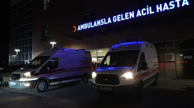 Niğde'de 'hayvan otlatma' kavgasında 5 kişi yaralandı