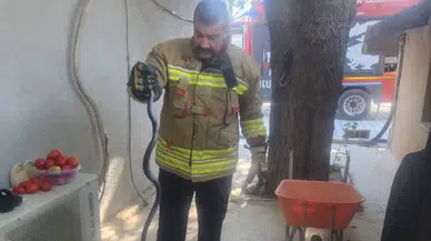 Antakya'da eve giren yılan itfaiye ekiplerince yakalanarak doğaya bırakıldı