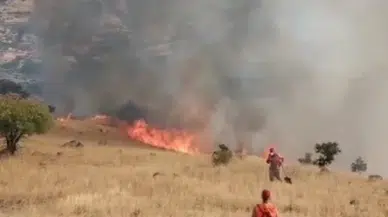 Nazımiye'de orman yangını: Havadan ve karadan müdahale başlatıldı