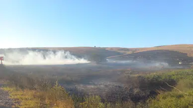 Balıkesir Manyas'ta ot yangını