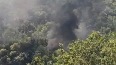 Bursa'da olası orman yangını vatandaşların dikkati sayesinde önlendi