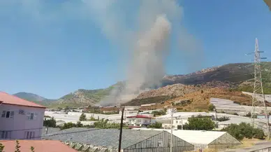 Mersin Bozyazı'da orman yangını