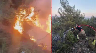 Hatay Antakya'da orman yangını çıktı