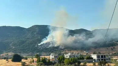 Adana'da ağaçlık alanda yangın : Ekipler kontrol altına aldı
