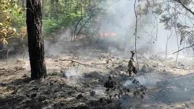 Ankara'da ot yangını : Geniş alana yayılan alevler kontrol altına alındı