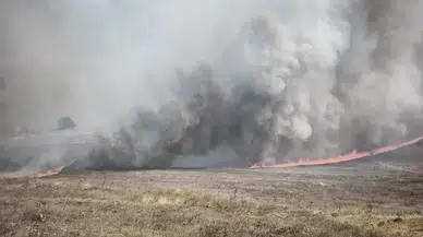 Bursa'da orman yangını