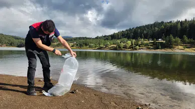 Kastamonu'da balıklandırma çalışması : 800 bin sazan yavrusu göletlere bırakıldı